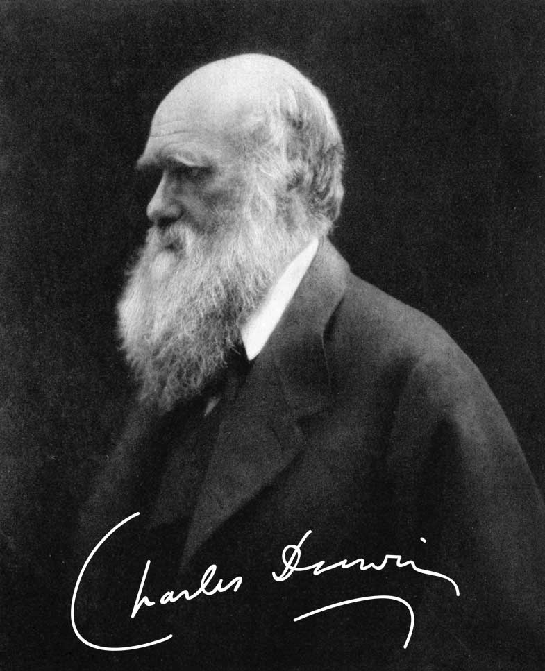 www.darwinproject.ac.uk