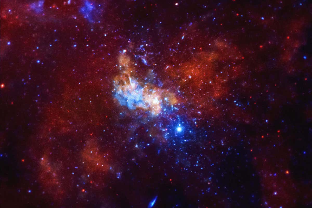 www.newscientist.com