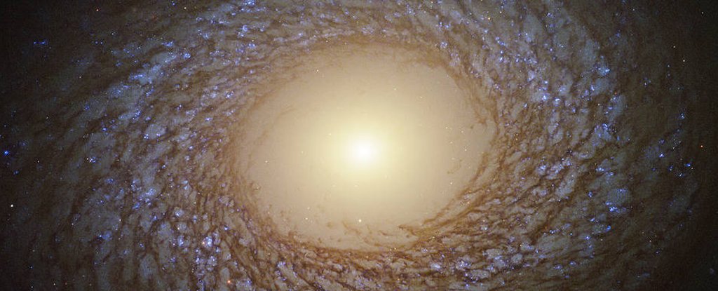 www.sciencealert.com