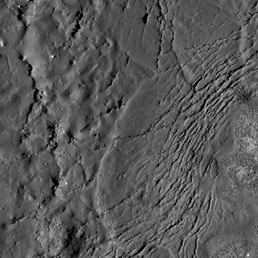 FI_Cracks_M103703826LE2_1000px.png