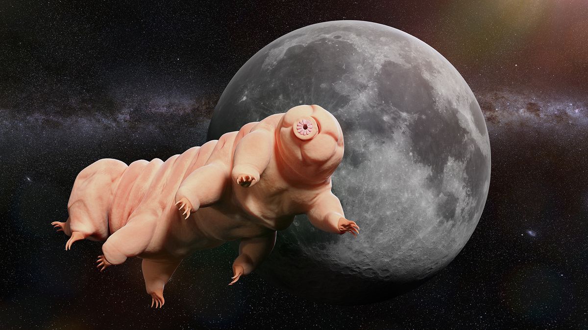 www.livescience.com