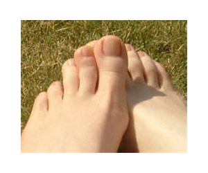 feet-toes-foot-lg.jpg